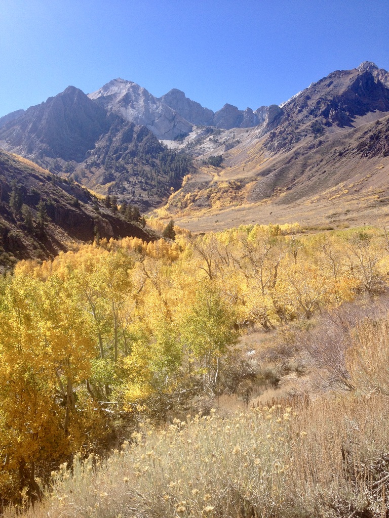 25 Things to Do in Mammoth Lakes This Fall - MEG HIKES